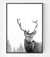 Black And White Deer Head Drawing Deer Print Deer Antlers Art Print Scandinavian Print Stag Animal Print Black And White Print Affiche Scandinave Deer Head Stag Head Antler Art Print Antler Art Stag Animal