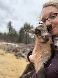 I have an industrial size greenhouse that was used to grow orchids year  round (so heaters and fans also)…. So many steel roller beds and I honestly  don't really know what I