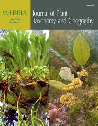 Image result for Haplocoelum