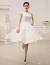 Short Plus Size Dress For Wedding