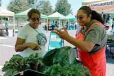 Turnip Tour Farmers Market