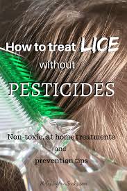 Treat Lice Without Pesticides Non Toxic At Home Lice Remedies Lice Momlife Parenting Holesinyoursocks How To Treat Lice Home Lice Remedies Lice Remedies