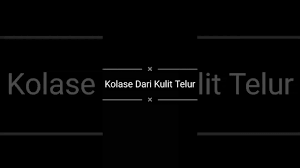 Secara taksonomis, ikan tersebut termasuk dalam. Kolase Dari Kulit Telor Kupukupu Kolase Kulittelor Tugassekolah Cangkangtelor Youtube