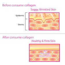 Get the best deal for collagen tablet dietary supplements from the largest online selection at ebay.com. Total Image Collagen Drink 50ml X 10 Bottles Shopee Malaysia