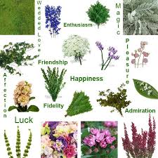 We did not find results for: 26 Filler Flowers And Types Of Greenery Flower Meanings Flower Therapy Fifty Flowers