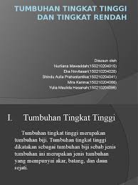 1) bulat telur (ovatus), contohnya daun kembang sepatu (hibiscus. Tumbuhan Tingkat Tinggi Dan Tingkat Rendah