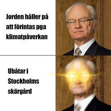 Google kungen drake meme, blev inte besviken. Vad Har Shaq Pa Kungen Ny Sweddit Vanlig Meme Version Sweden