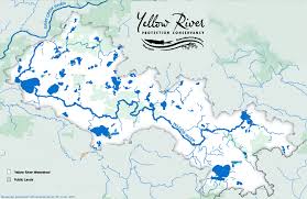 Image result for Golden Yellow 1986 Three Rivers District Council