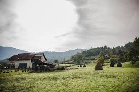 Decat sa trag grabit de frig mai bine stau in casa. Cazare Pensiunea Totu Bun La Salciua De Jos Sub Piatra Alba Transilvania Apuseni Tara Motilor Arieseni