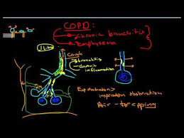 pathophysiology of copd