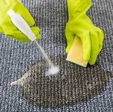 Den teppich reinigen, aber nur mit der richtigen technik. Teppich Reinigen Mit Diesen Geraten Und Hausmitteln Gelingt Es