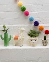 Rinse a sharp knife in a solution of 1 part bleach and 9 parts water to disinfect it. Sass Belle Our Lima Llama And Colourful Cactus Are Back To Bring You Joy With Brand New Items Such As Our Lima Llama Llama Gifts Llama Decor Cactus Decor