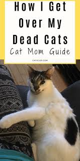 My cat died what do i do. My Cat Died And I Feel Guilty 8 Ways To Process Grief Cat Mom Pet Grief Dead Cat