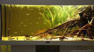 Amplio parque totalmente cuidado y respetada la flora. Pin Auf Aquarium Ideas