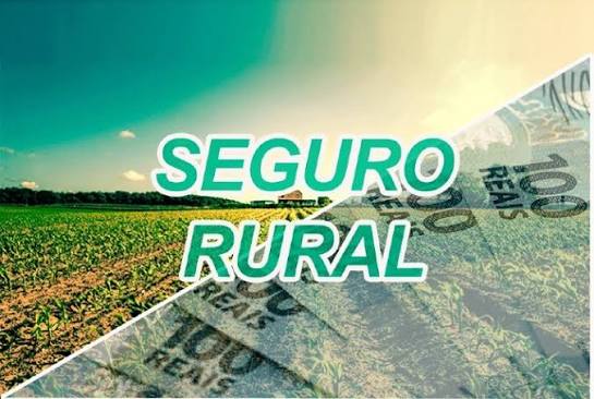 Seguro rural tem oferta escassa para a safra 2022/23 - Portal do Agronegócio