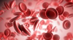 Image result for leukemia images