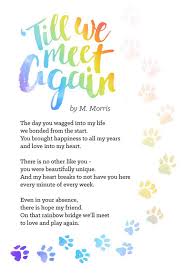 Lanes three, four and five are reversible. How To Deal With Death Of A Pet Pawsitive Wellness Center