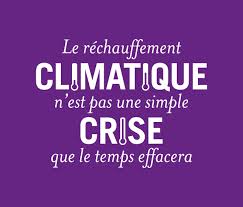 Epingle Par Place To B Toulouse Cop 21 Sur Cats Dogs Rechauffement Climatique Cop 21 Oser