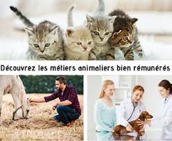 Voir plus d'idées sur le thème animalier, dessin, illustrations. Les 12 Metiers Animaliers Les Mieux Payes