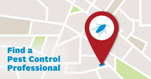 Final thoughts about opossum attic removal. Attic Bugs Insects Pest Prevention Tips For Attic Bugs