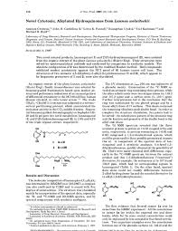 Image result for Lannea welwitschii