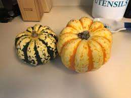 Image result for carnival acorn squash