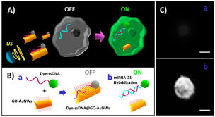 The entity detector is a machine added by draconic evolution. Biosensors Free Full Text Advanced Nanoscale Approaches To Single Bio Entity Sensing And Imaging Html