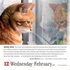 Colors are missing in outlook 2016 calendar. 365 Cats Page A Day Calendar 2020 Workman Calendars 9781523506965 Amazon Com Books