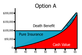 A return of premium life insurance policy is very appropriate in many cases but certainly. 2 15 License Chapter 2 Part 1 Flashcards Quizlet