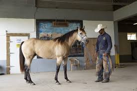 Angola's storied history of instability and reform serve as a reminder of the progress made within corrections and the possibilities of rehabilitation. Pregnant And In Prison But It S Not What You Think Western Horseman