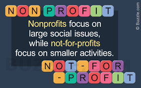 what is non profit organisation what is a 2019 06 02