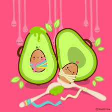 Kawaii Avocado Kawaii Illustration Kawaii Cute Kawaii Chibi