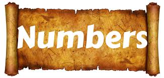 Book of Numbers: Summary and Themes