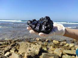 Israel hit by its worst ever environmental crisis as millions of litres of crude oil spill from pipeline in the desert. Israeli Ngos Say Oil Spill A Wake Up Call For Better Sea Conservation