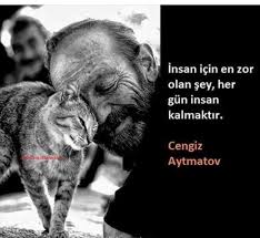 S N Gulll Adli Kullanicinin Yukum Sevgi Yolum Insan Panosundaki Pin Ozlu Sozler Resimli Alintilar 30 Yasinda