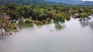 Search for text in url. æ›¾æ–‡æ°´åº«è¿'æ»¿æ°´ä½æ¶¼äº­æ²'å…¥æ°´ä¸­å¦‚ä»™å¢ƒ