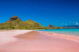 The most beautiful beach ever. The Pink Beach Sudamala Resort Seraya