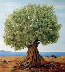 Olive Tree Tattoo Idea Olive Tree Painting Tree Canvas Olive Trees Landscape