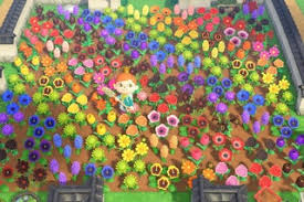 August 23, 2020 ridetvc leave a comment. How To Breed All Hybrid Flowers In Animal Crossing New Horizons 8 Steps With Pictures Instructables