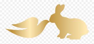 Check spelling or type a new query. Our Commitment To Cruelty Free Beauty U2013 Dove Dove Cruelty Free Logo Png Dove Transparent Free Transparent Png Images Pngaaa Com