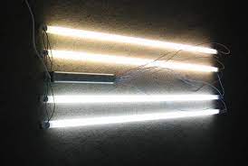 They have a cri as high as 80 or 90. Growing Cactus With Artificial Light On Line Guide To The Positive Identification Of Members Of The Cactus Family