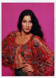 Singer and actress cher poses for a fashion session in january 1984. Orig 1970 S Cher Disco Beauty Fashion Portrait By Harry Langdon Silverpinups
