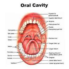 Pin On Dentistry