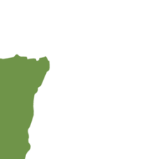 Image result for Acanthus mayaccanus