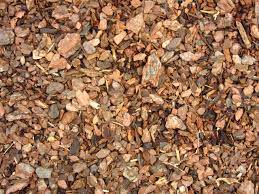 If You Own A Dog Should You Mulch Cold Noses News