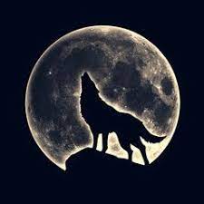 Howling Wolf Full Moon Wolf And Moon Tattoo Wolf Photos Wolf Howling