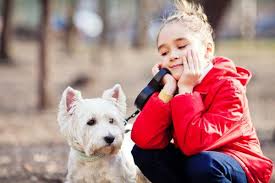 The adoption process was thorough, but entirely reasonable. Maryland Westie Rescue Mwr