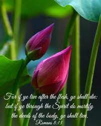 The bible is inerrant and it is completely sufficient for … Bible Verses Flowers