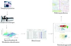 How to beat level 969 of word connect? Metabolomics Small Molecules That Matter More Molecular Omics Rsc Publishing