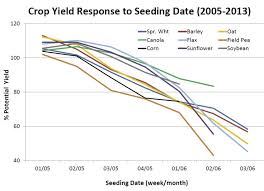 This means if you plant your peas when the soil is still cold, say around 40 degrees, it can take as much as five weeks for them to germinate. Cool Soils Seed Cereals Field Peas First Manitoba Co Operator